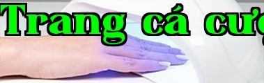 gggg