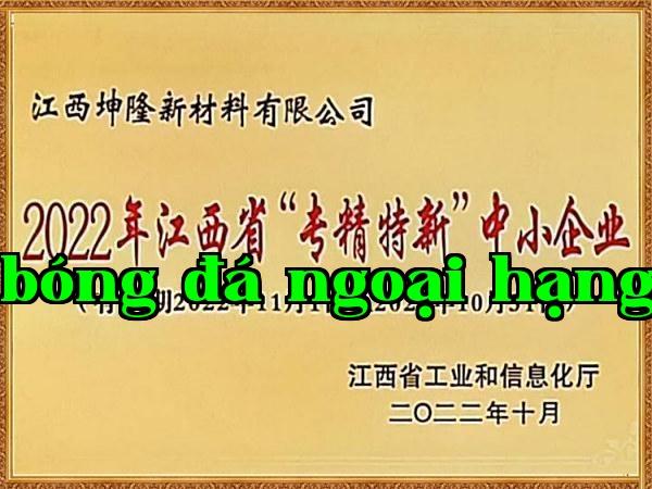 Doanh nghiệp nhỏ và vừa chuyên nghiệp, đặc sắc, sáng tạo tỉnh Giang Tây năm 2022