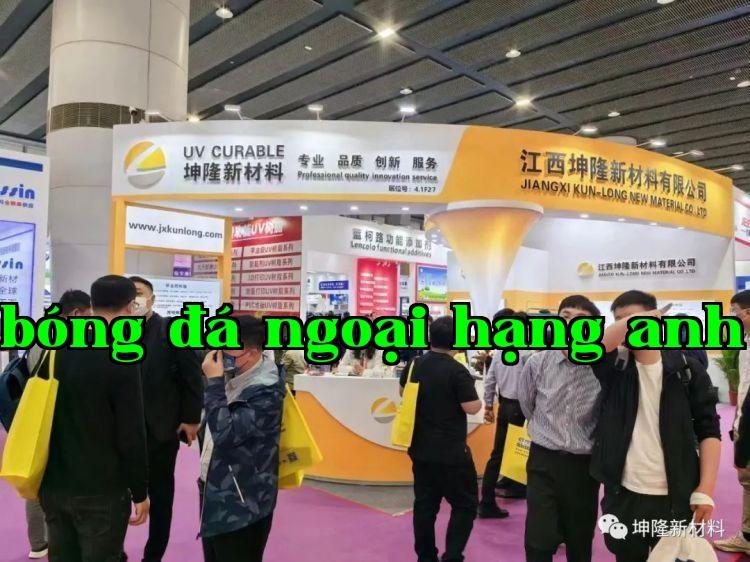 Hình ảnh 13