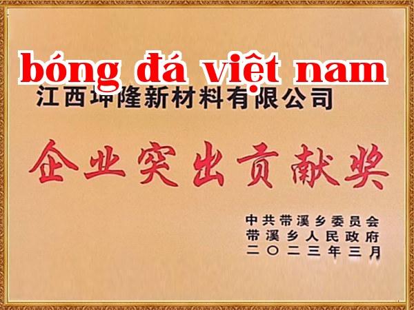 Giải thưởng Đóng góp xuất sắc của doanh nghiệp