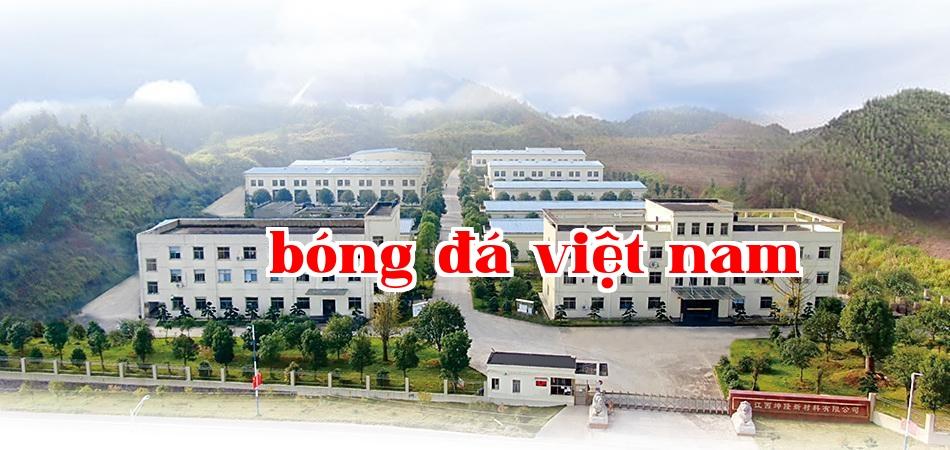 Giới thiệu công ty